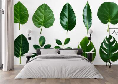 Diverse Assortment of Isolated Green Leaves on a Clean Background Wall mural