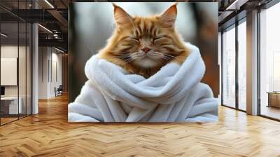 Fluffy ginger cat in white robe, eyes closed, meditating in yoga pose, embodying calmness, peace, and serenity Wall mural