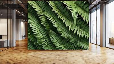 Lush pattern of fern leaves creating a vibrant wallpaper of natures green beauty Wall mural