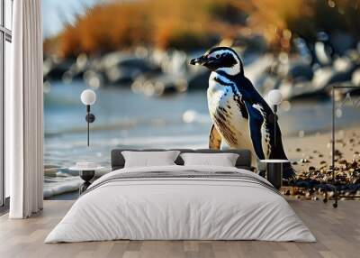 Magellanic penguin waddling ashore under clear blue skies Wall mural