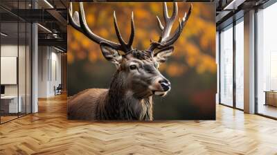 Majestic red deer stag surrounded by autumn foliage in the UK Wall mural