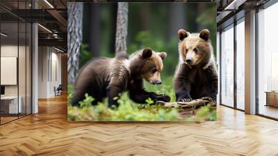 Playful European brown bear cubs frolicking in a lush forest setting Wall mural