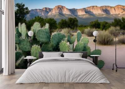 Prickly Pear Cacti Against the Backdrop of Sandia Mountains in New Mexico Wall mural