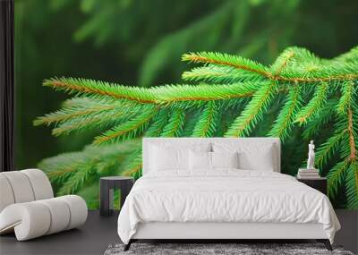 Vibrant close-up of green fir tree needles set against a serene summer backdrop with expansive clean copy space Wall mural