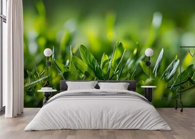 Vibrant close-up of lush spring grass showcasing rich green hues and a refreshing nature backdrop Wall mural