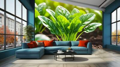 Vibrant closeup of spinach leaves highlighting intricate details, perfect for nutrition and superfood themes against an isolated white background Wall mural