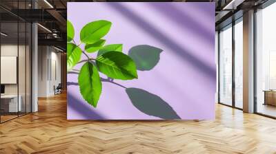 Vibrant green leaves casting gentle shadows on a soft pastel purple background, creating a fresh and artistic atmosphere. Wall mural