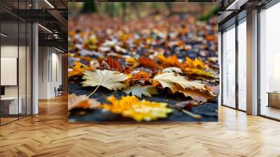 Vibrant tapestry of autumn leaves blanketing the ground, showcasing rich forest colors and inviting tranquility with ample space for contemplation Wall mural