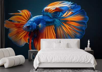 Vividly colored Betta fish with flowing fins in shades of blue and orange set against a rich dark backdrop Wall mural