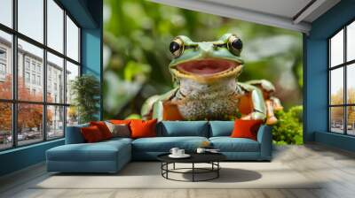 A frog lying on the moss Wall mural