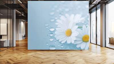 Daisy Beautiful Flower Background Wall mural