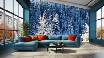 landscape with snow Wall mural