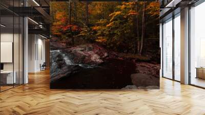 river in autumn Wall mural