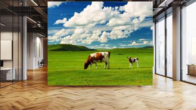 The cattle on the Hulunbuir summer grassland. Wall mural