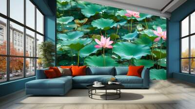 Flourishing lotus in midsummer, natural and refreshing scenery. Wall mural