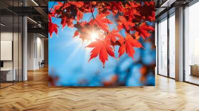 The red maple leaves in the sun complement each other with the blue sky, forming a beautiful autumn picture. Wall mural