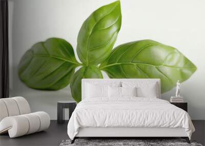 basil isolated on white Wall mural