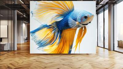 fish isolated on white Wall mural