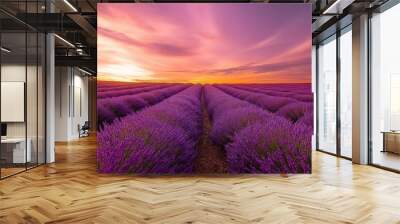 lavender field at sunset Wall mural