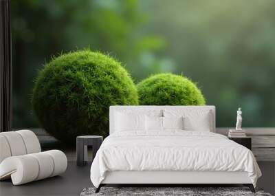 2 moss balls

 Wall mural