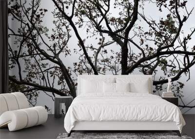 tree Wall mural