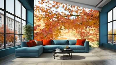 紅葉 Wall mural