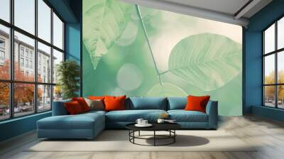 light_green_background_aesthetic Wall mural