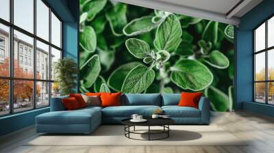 sage_cute_green_aesthetic_background Wall mural