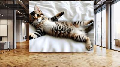 Adorable kitten sleeping peacefully on its back with outstretched paws on a soft white bed Wall mural