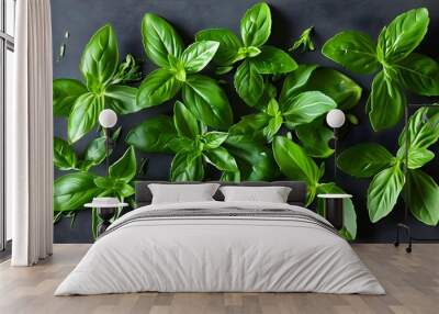 Beautifully arranged fresh green herb leaves for culinary and aromatic applications in cooking and teas Wall mural