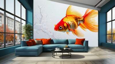 Dynamic display of vibrant goldfish swimming with splashing water on a clean white backdrop Wall mural