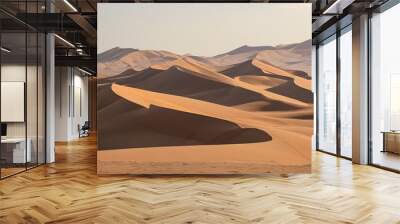 Endless waves of sand dunes form a stunningly desolate desert landscape Wall mural