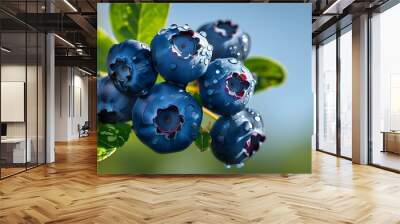 Glistening Blueberries Resting on a Vibrant Green Leaf Under a Clear Blue Sky Wall mural