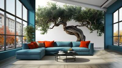 Gnarled olive tree with silvery leaves displayed in stunning 3D against a pristine white background Wall mural