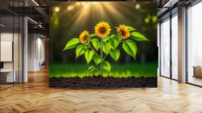 Golden sunflowers bathed in the warm glow of a vibrant sunset Wall mural