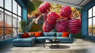 Luscious close-up of fresh raspberries showcasing vibrant colors and natural shadows, ideal for culinary visuals and design inspiration Wall mural