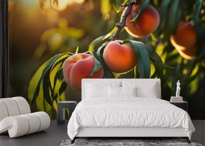 Luscious ripe peach basking in golden hour sunlight, showcasing soft fuzz detail with clean, sharp focus and beautifully soft shadows Wall mural