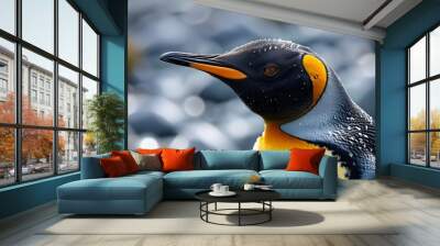 Majestic king penguin portrait captured in the stunning landscapes of Falkland Islands Wall mural