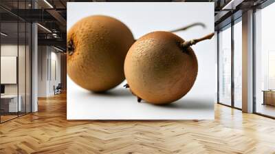 Rough-textured brown fruit elegantly isolated on a clean white background Wall mural