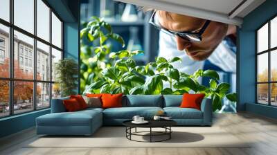 Scientist investigating the health and growth of basil plants in a well-lit laboratory environment Wall mural