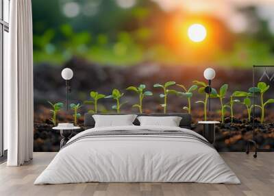 Serene sunset casting a warm glow over a row of young green plants sprouting in the dirt Wall mural