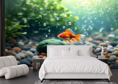 Serene Underwater Scene with Goldfish Swimming Amongst Bubbles Wall mural