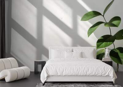 shadows of abstract leaves casting sunlight patterns on a white wall for a minimalistic aesthetic Wall mural