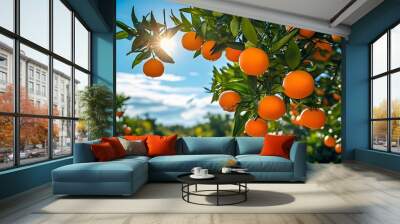 Sunlit orange grove showcasing vibrant trees heavy with ripe oranges beneath a clear blue sky in a wide-angle perspective Wall mural