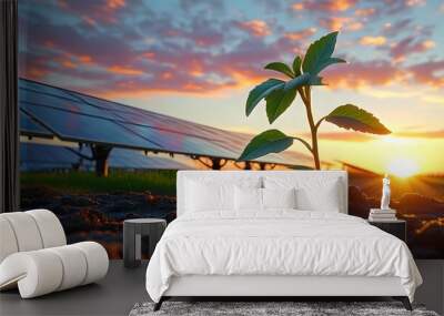 Sunset over a resilient plant by the ground, with solar panels symbolizing eco-friendly sustainability and the promise of renewable energy. Wall mural