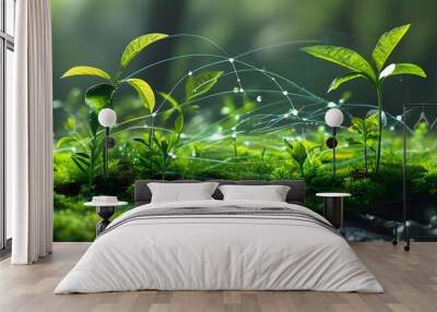 Sustainable Future: Growing Plant and Digital Network Showcasing Green Energy Innovation in Natural Environment Wall mural