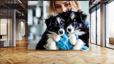 Veterinarian providing care to adorable black and white puppies in a veterinary clinic setting. Wall mural