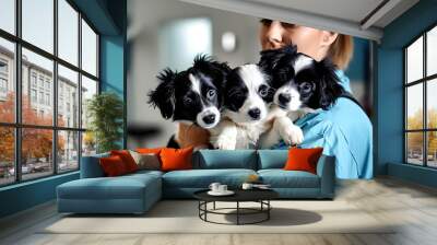 Veterinarian providing care to adorable black and white puppies in a veterinary clinic setting. Wall mural