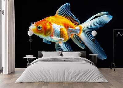 Vibrant goldfish with orange and white scales gracefully swimming in the depths of a dark background Wall mural