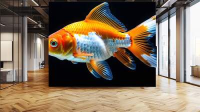 Vibrant goldfish with orange and white scales gracefully swimming in the depths of a dark background Wall mural